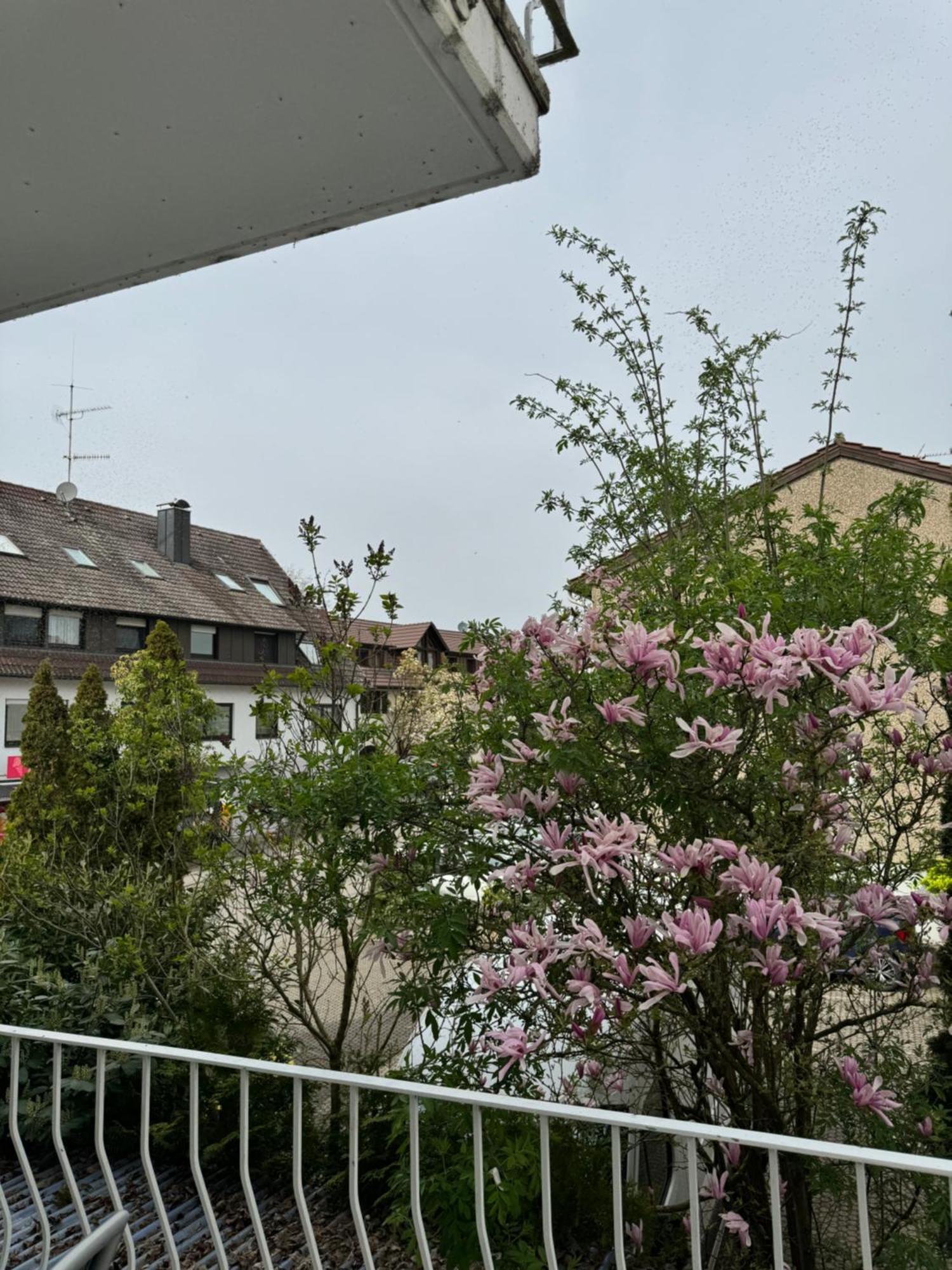 See-Hotel Seeschau - Direkt Am Bodenseeufer Reichenau Dış mekan fotoğraf